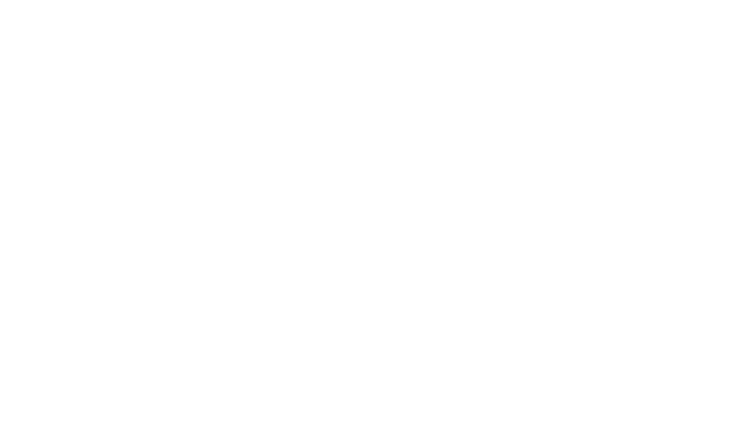 Logo white